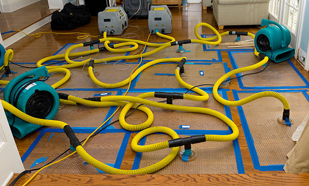 Professional Water Damage Repair technician working in Bryan, TX